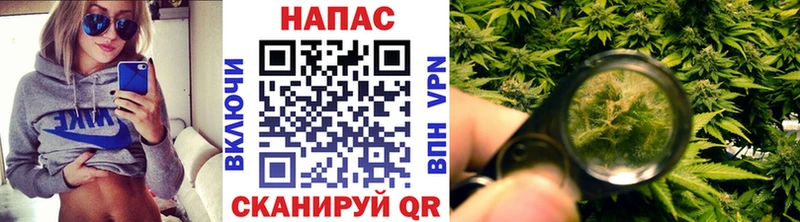 Шишки марихуана LSD WEED  MEGA как зайти  Щигры 
